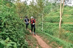 BIB: 
                            <button type="button" onclick="openModal(24878376)" class="btn btn-primary btn-sm float-right btn-popup" data-toggle="modal" data-target=".modal-high-quality">
                        <i class="fas fa-shopping-cart"></i> Add to Cart
                    </button>
                                            <button type="button" onclick="isThisMe(24878376, true)" class="btn btn-success btn-sm float-right btn-popup btn-isme hidden" data-toggle="tooltip" data-placement="bottom" title="นี่คือรูปของคุณใช่ไหม คลิกที่นี่เพื่อเอาเข้าอัลบั้ม">
                        <i class="fas fa-plus"></i> Add to album
                    </button>
                    <button type="button" onclick="isThisMe(24878376, false)" class="btn btn-warning btn-sm float-right btn-popup btn-isnotme hidden">
                        <i class="fas fa-ban"></i> Remove from album
                    </button>